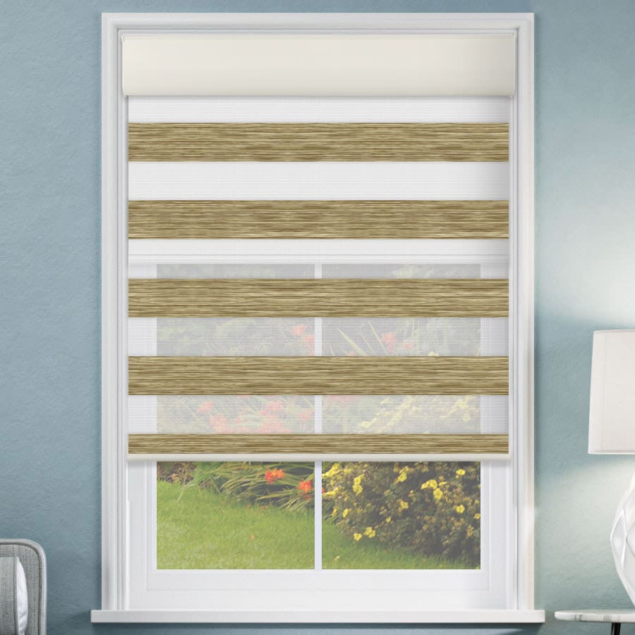 Designer Double Zebra/Roller Shades 1619