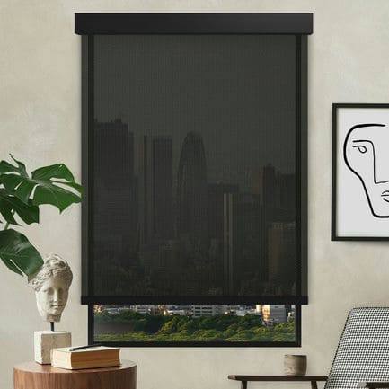 Designer Luxe Solar Shades