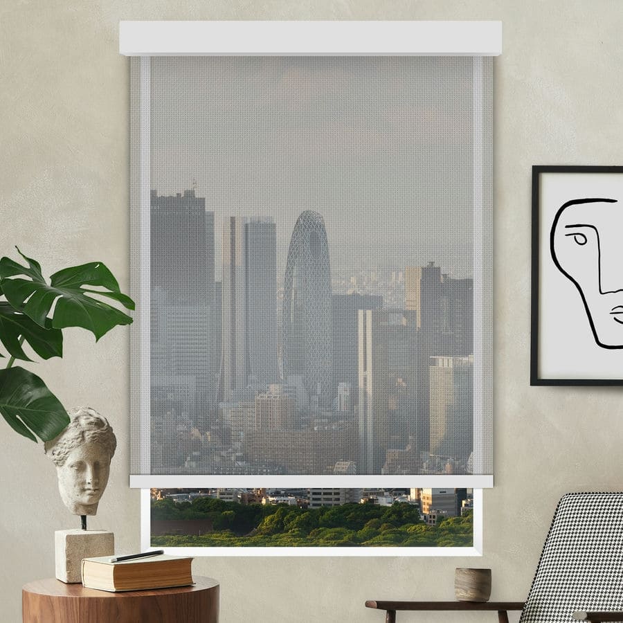 Designer Luxe Solar Shades 1732