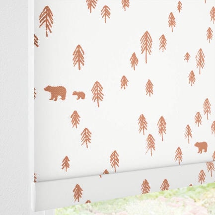 Little Explorer Kids' Blackout Roller Shades 1528