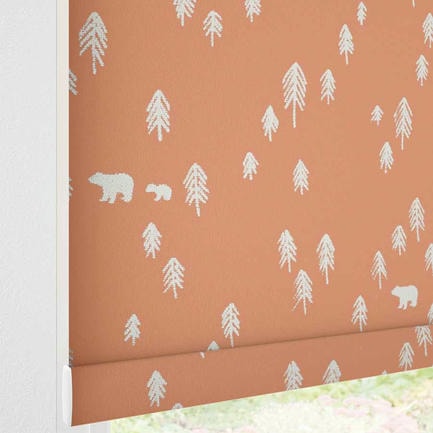Little Explorer Kids' Blackout Roller Shades 1528
