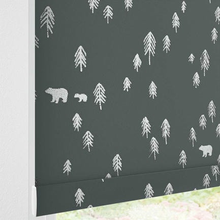 Little Explorer Kids' Blackout Roller Shades 1528