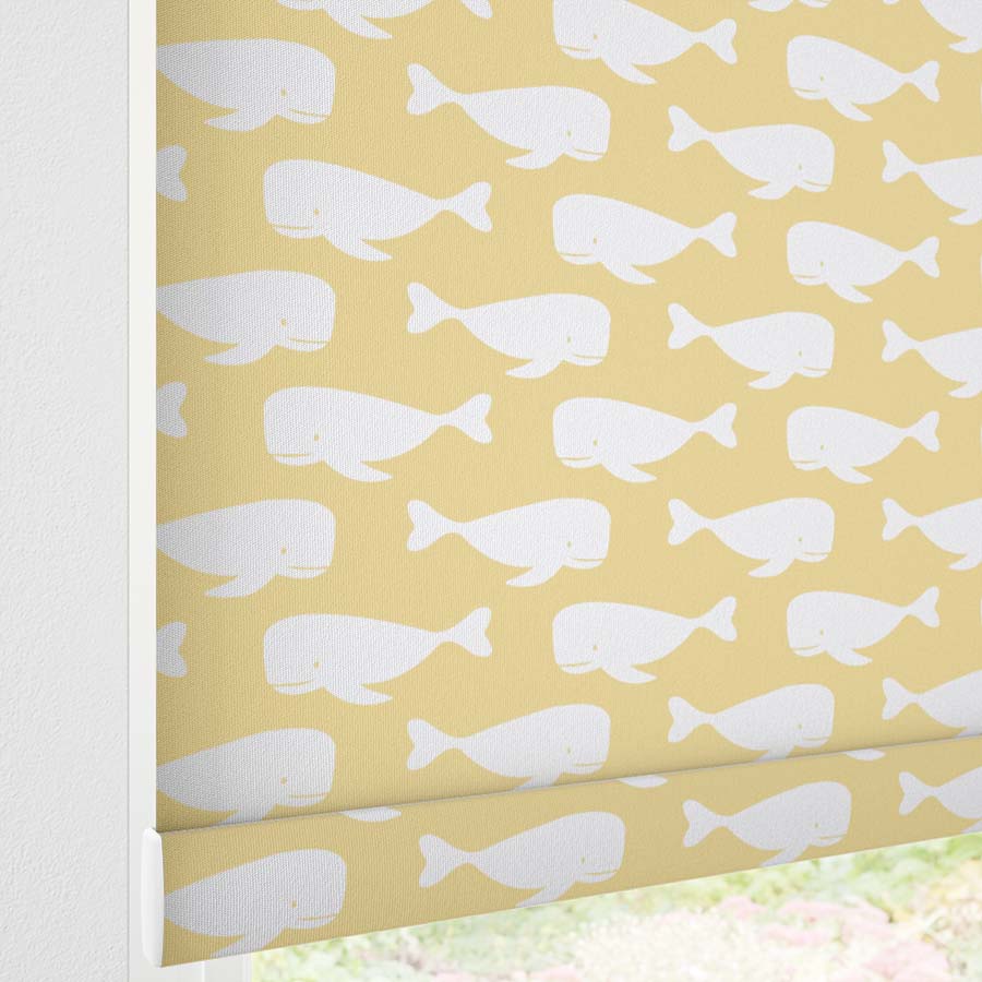 Little Explorer Kids' Blackout Roller Shades 1528