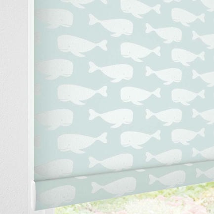 Little Explorer Kids' Blackout Roller Shades 1528