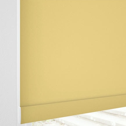 Little Explorer Kids' Blackout Roller Shades 1528