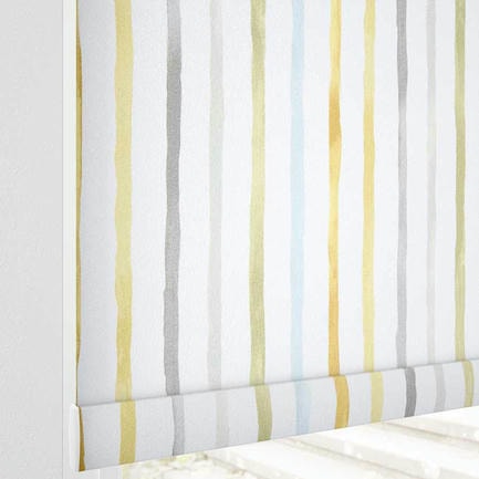 Little Explorer Kids' Blackout Roller Shades 1528