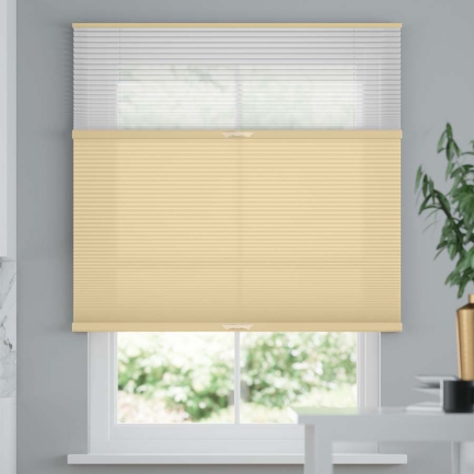 Premium Two Fabric Top-Down Bottom-Up Light Filtering Cellular Shades 1517