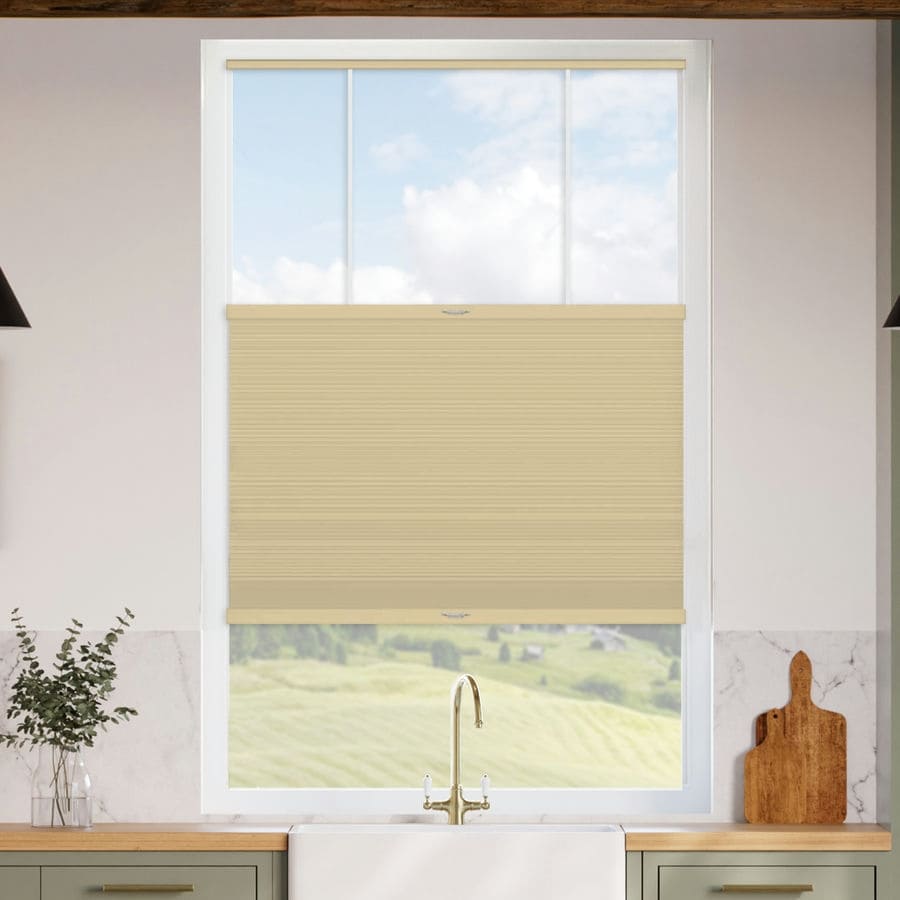 Select Top-Down Bottom-Up Blackout Honeycomb Shades 1643