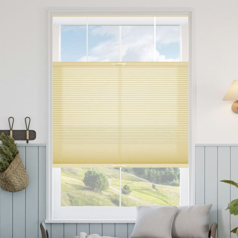 Select Top-Down Bottom-Up Light Filtering Honeycomb Shades 1642