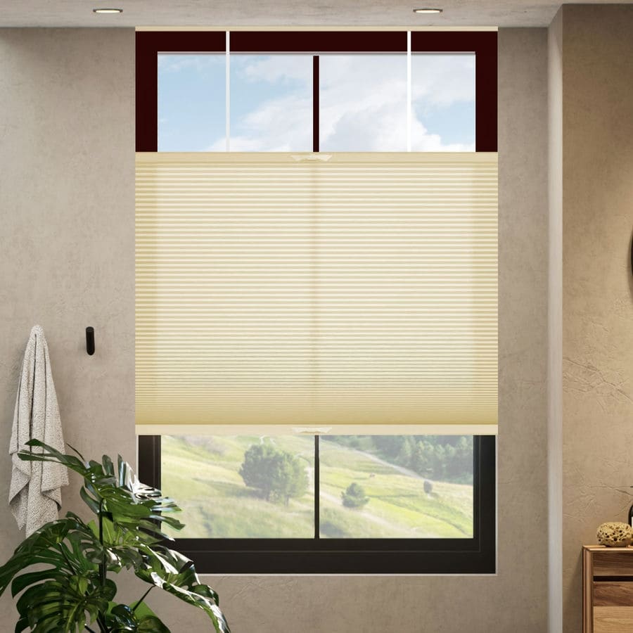 Select Top-Down Bottom-Up Light Filtering Honeycomb Shades 1642