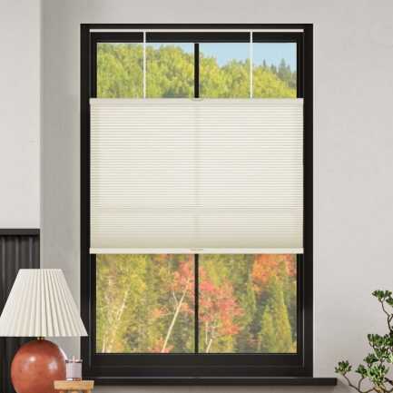 Select Top-Down Bottom-Up Light Filtering Honeycomb Shades 1642