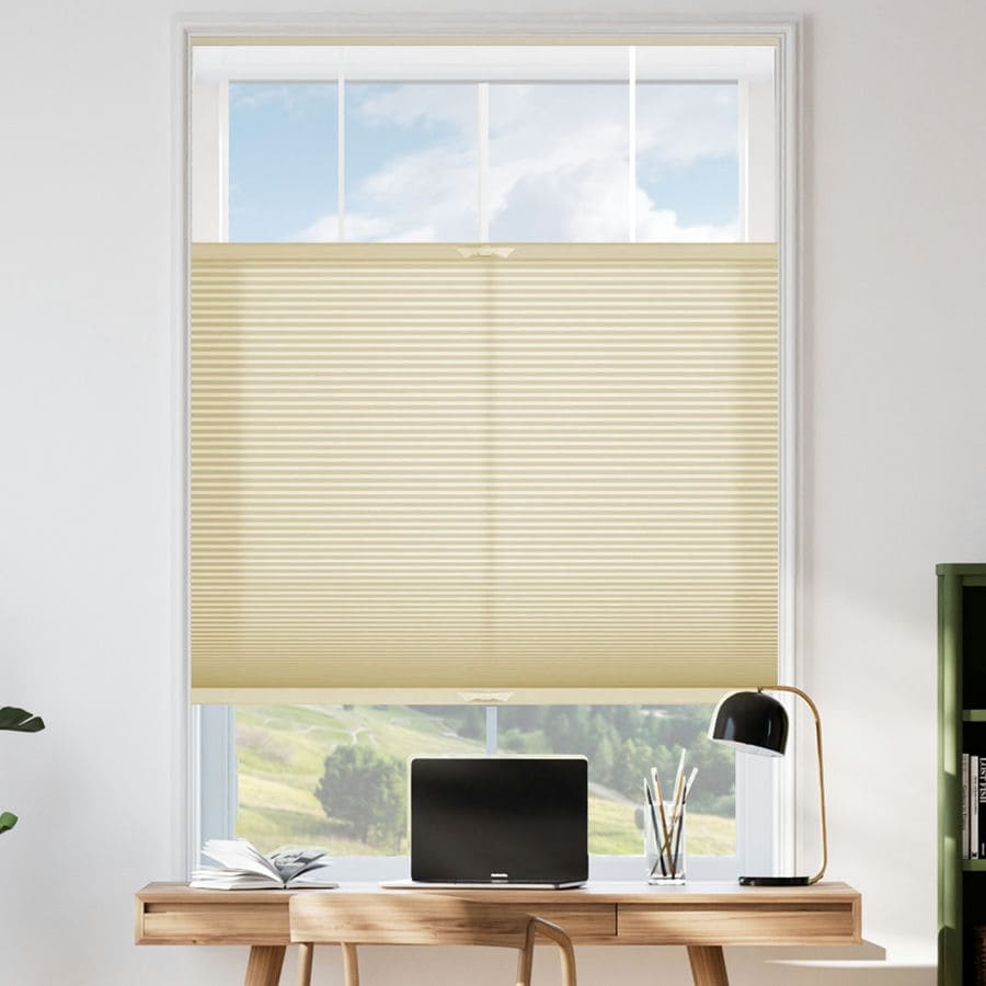 Select Top-Down Bottom-Up Light Filtering Honeycomb Shades 1642