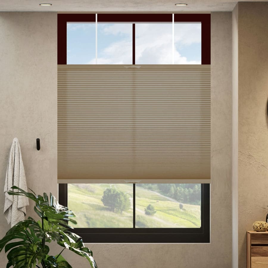 Select Top-Down Bottom-Up Light Filtering Honeycomb Shades 1642