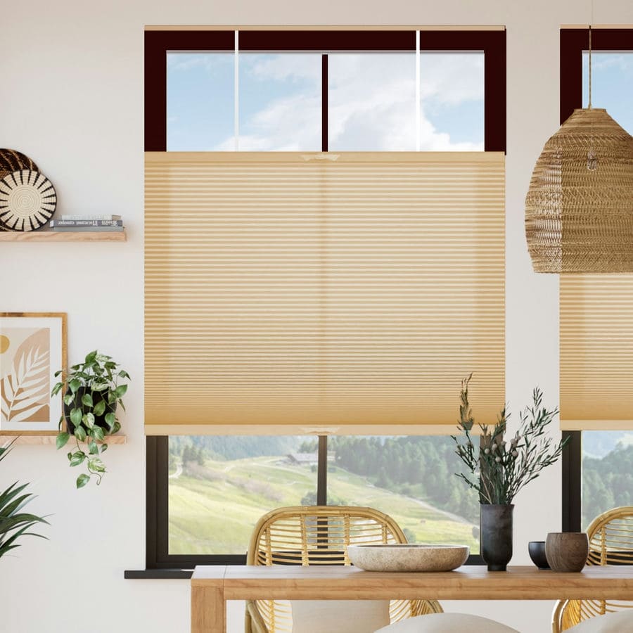 Select Top-Down Bottom-Up Light Filtering Honeycomb Shades 1642