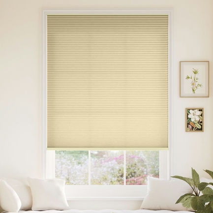 Stores cellulaires filtres de lumière à cellule double avantage de 1/2 po 1126