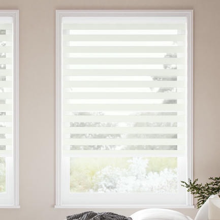 Value Light Filtering Zebra Blinds 1138