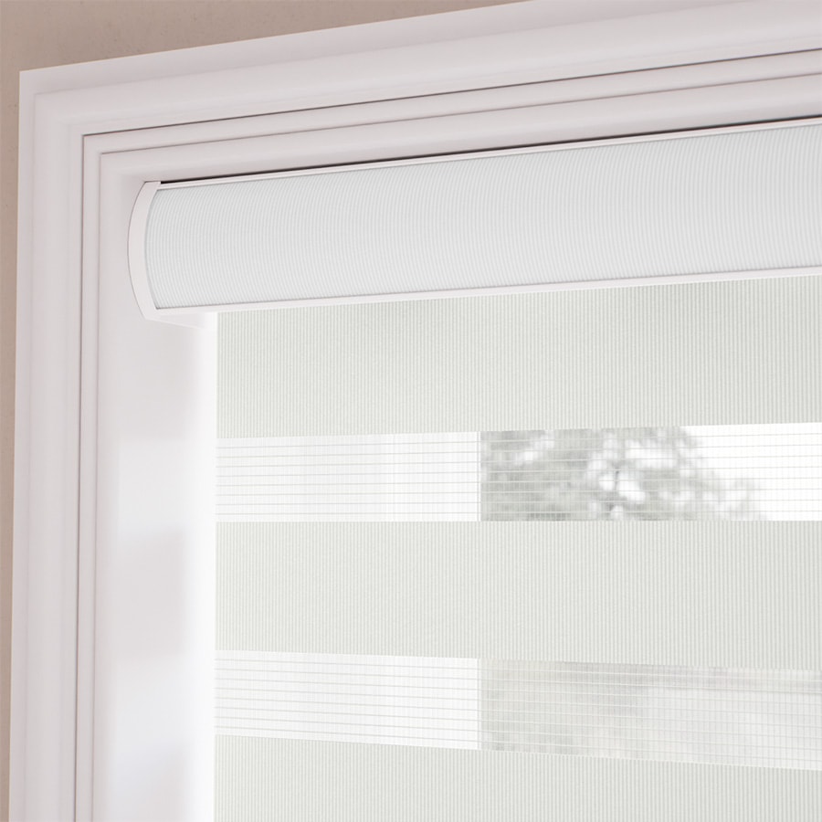 Value Light Filtering Zebra Blinds 1138