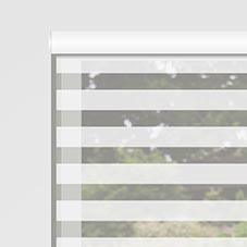 Designer Light Filtering Zebra Blinds 1562