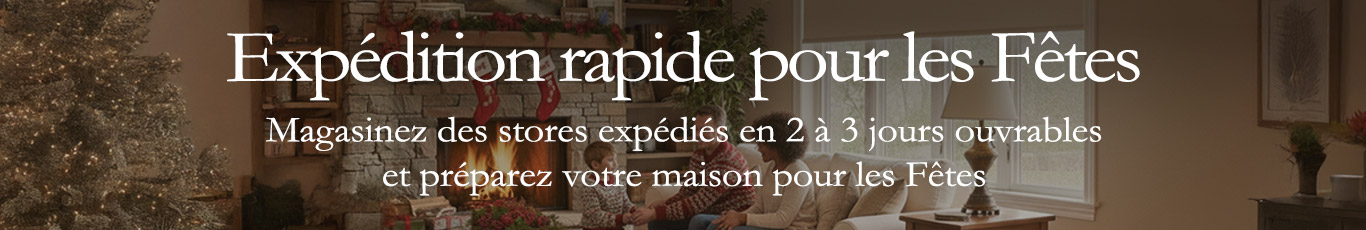 Expédition rapide pour les Fêtes
