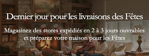 Expédition rapide pour les Fêtes