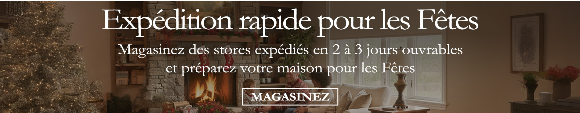 Expédition rapide pour les Fêtes